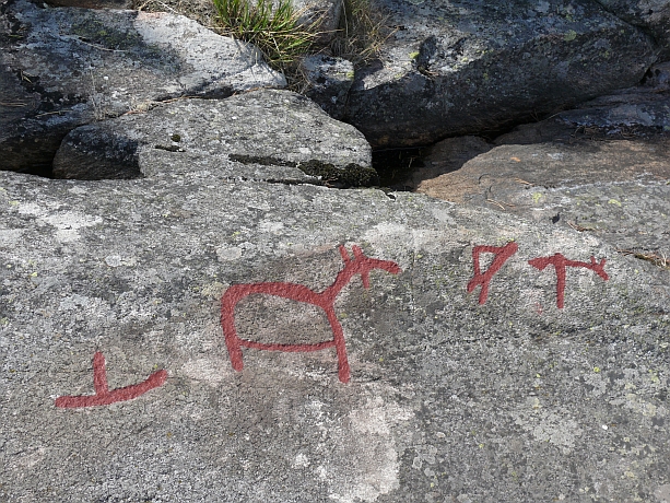Der kleine Elchfelsen von Dalbergsån