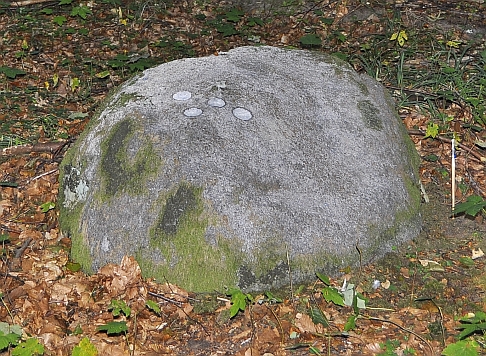 Neufund Klinteskov 1 eingemalt