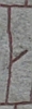 Kurzzweigrune a