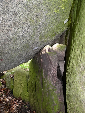 Stubberup Have Dysse, Schalensteine in der Grabkammer